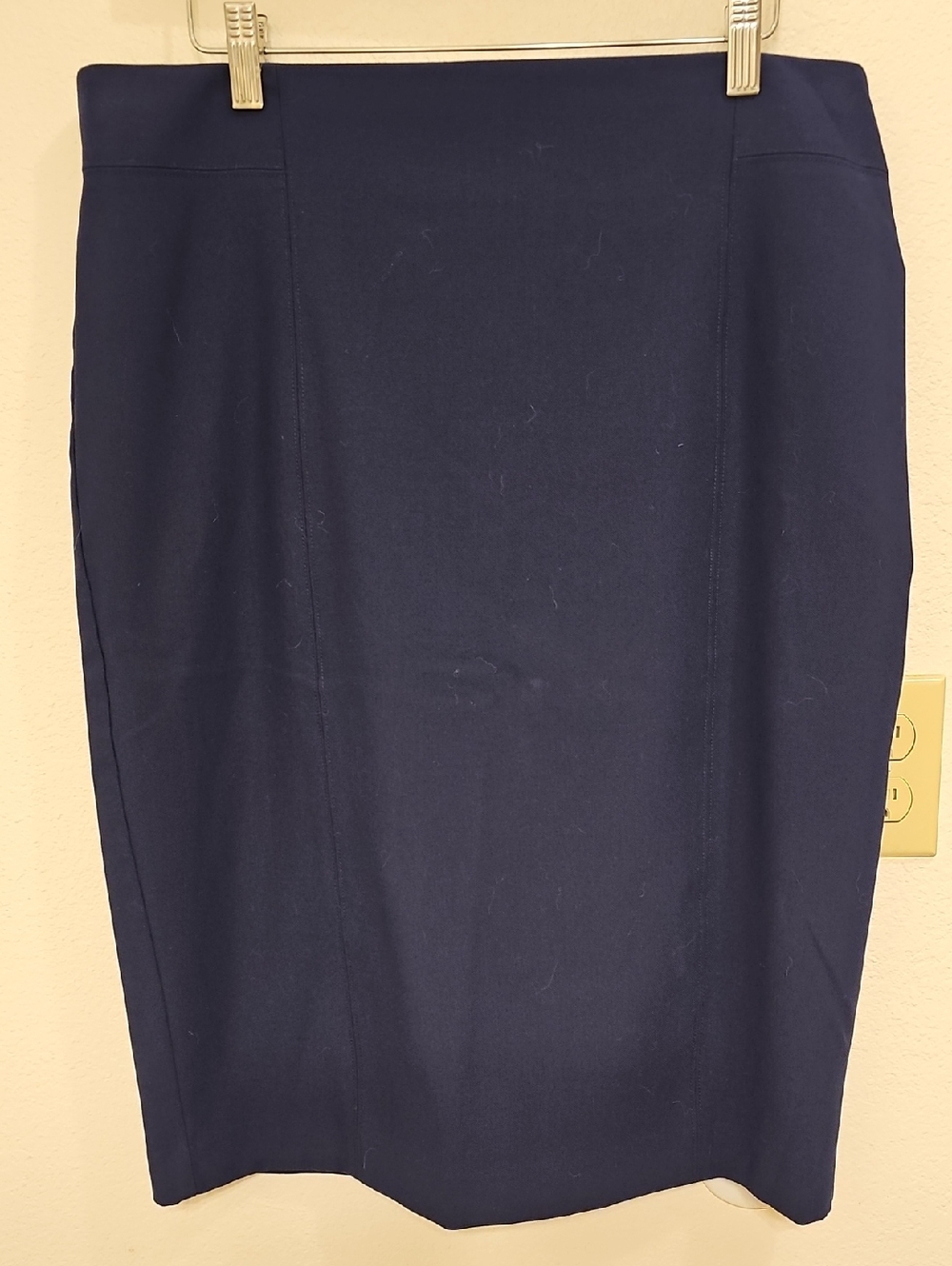 Ann Taylor Pencil Skirt